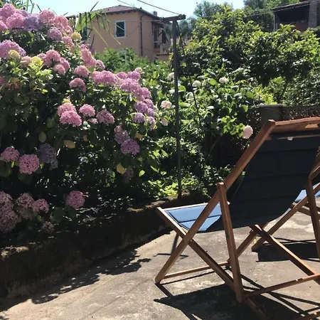 La Casa Dell'ortensia - 1937 아파트 *